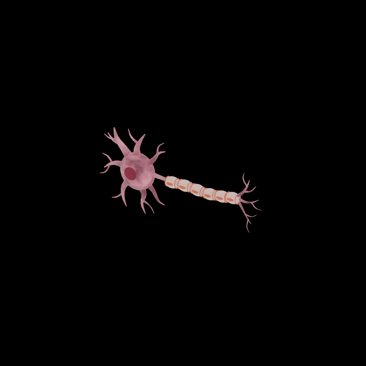 Neuron visualization